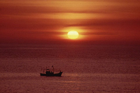 「金曜ロードショーな夕陽」と人が言う。夕陽の照り返しできらめく海のオレンジ色が暖かい。