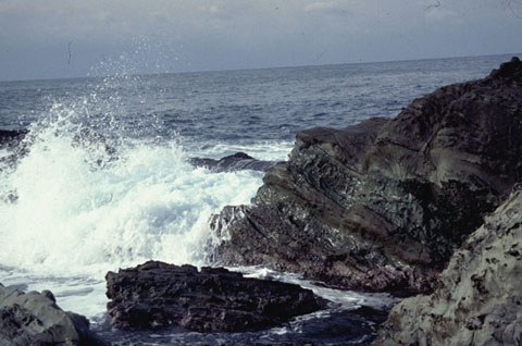 ザバーン！まるで東映映画のオープニングシーンのような波しぶき。浸食した岩の造形は見事。このときはまだ重油流出事故の跡が残っていたようだ。