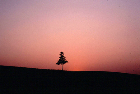 ポテトの丘にて。真っ赤な夕陽をバックにシルエットが映える。