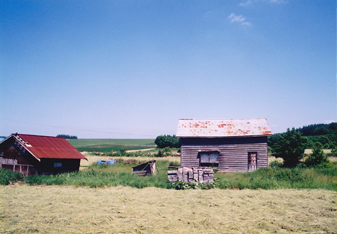 広々とした農場の片隅に赤い屋根の作業小屋が目を引く。