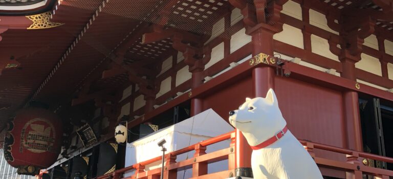 初詣 初詣